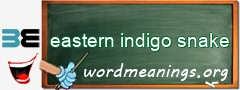 WordMeaning blackboard for eastern indigo snake